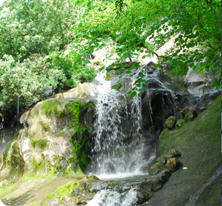 南詔風(fēng)情島